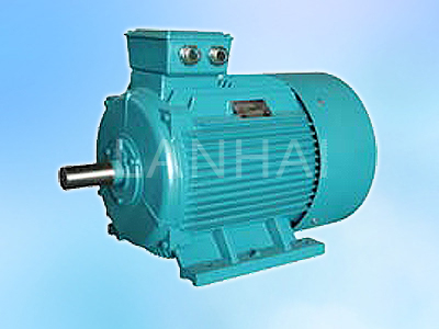 Three-phase A.C Induction Micromotors Series Y-H